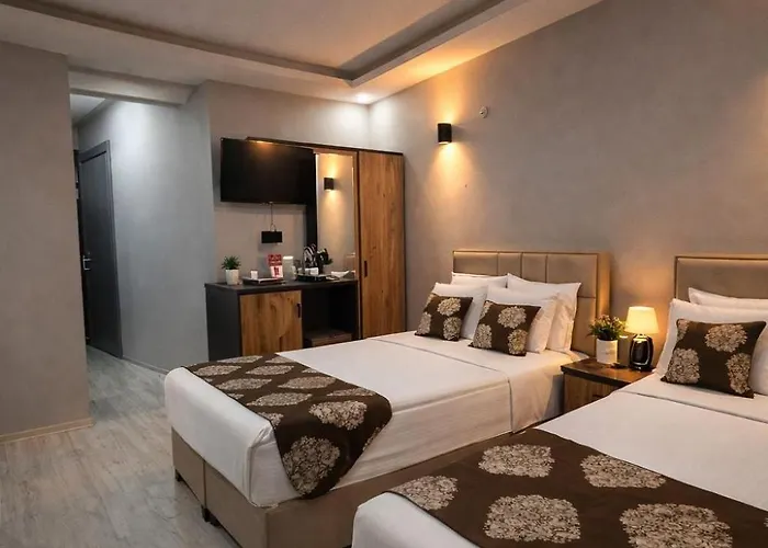 Whitestone 酒店 内夫谢希尔